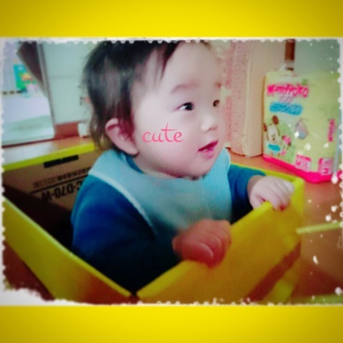 o0480048013512556237.jpg