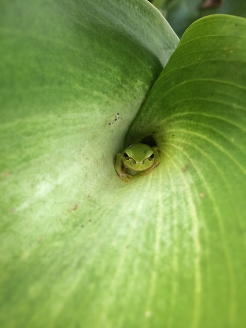 {A18F8105-D6C4-4EF3-8D6D-CFC1D4263577}