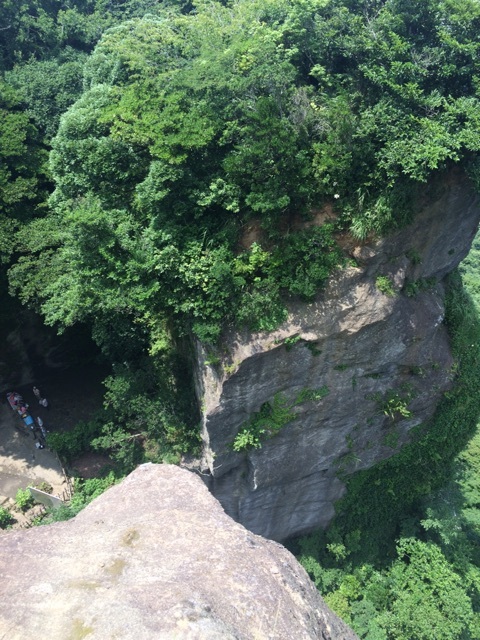 {900483D4-0F89-4F64-9554-3AE339448CA5}